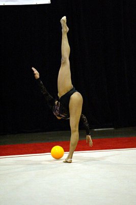 230100_gymnastics.jpg