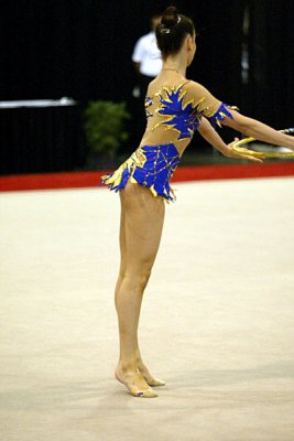 230179_gymnastics.jpg