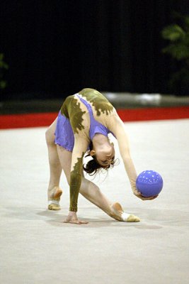 230187_gymnastics.jpg