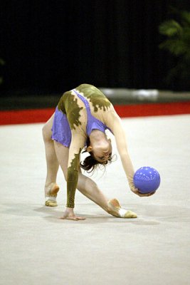 230188_gymnastics.jpg