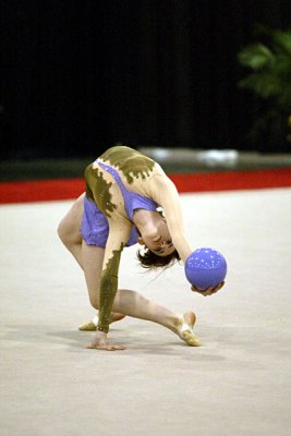 230189_gymnastics.jpg