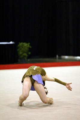 230195_gymnastics.jpg