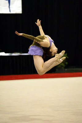 230243_gymnastics.jpg