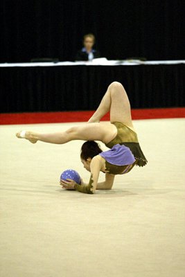 230252_gymnastics.jpg