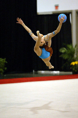 230334_gymnastics.jpg