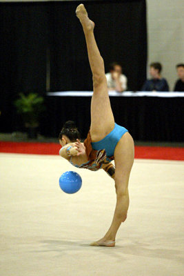 230347_gymnastics.jpg