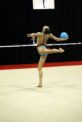 230353_gymnastics.jpg