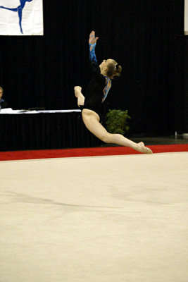230384_gymnastics.jpg