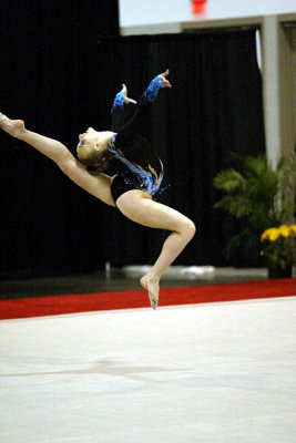 230395_gymnastics.jpg