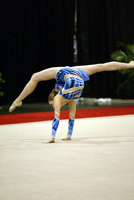 230468_gymnastics.jpg