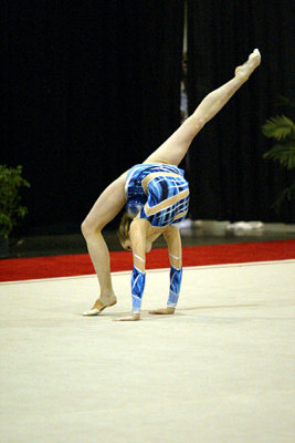 230469_gymnastics.jpg