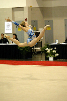 230486_gymnastics.jpg
