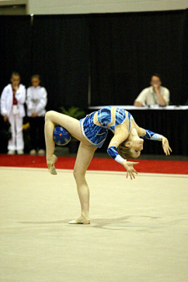 230495_gymnastics.jpg