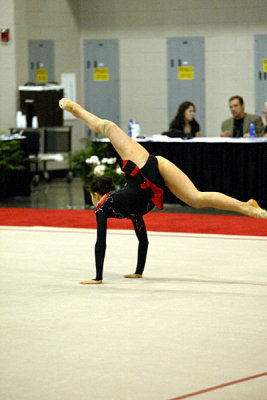 230539_gymnastics.jpg