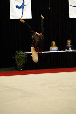 230554_gymnastics.jpg