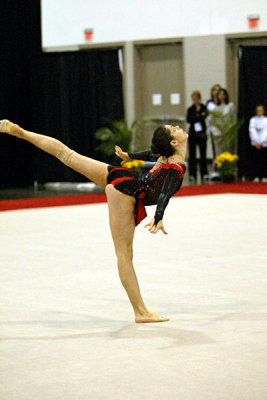 230558_gymnastics.jpg