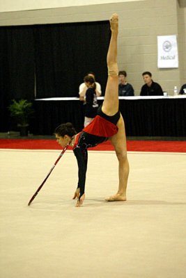 230582_gymnastics.jpg
