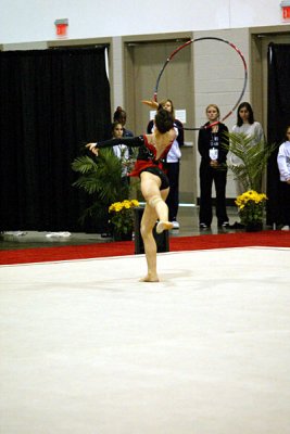 230594_gymnastics.jpg