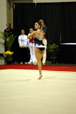 230631_gymnastics.jpg