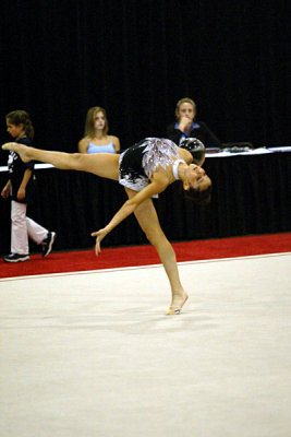 230658_gymnastics.jpg