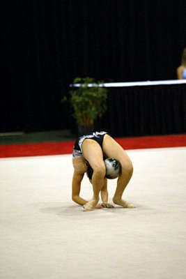 230684_gymnastics.jpg