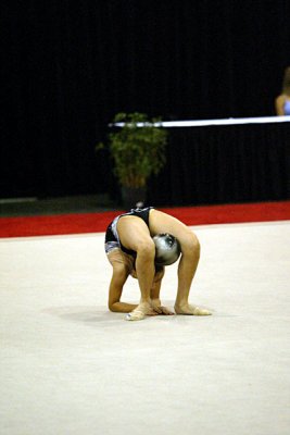 230685_gymnastics.jpg