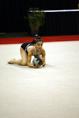 230688_gymnastics.jpg