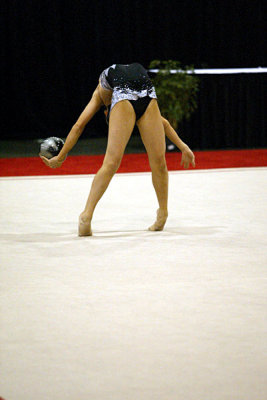 230690_gymnastics.jpg