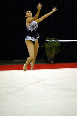 230692_gymnastics.jpg