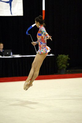 230739_gymnastics.jpg