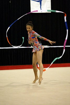 230741_gymnastics.jpg