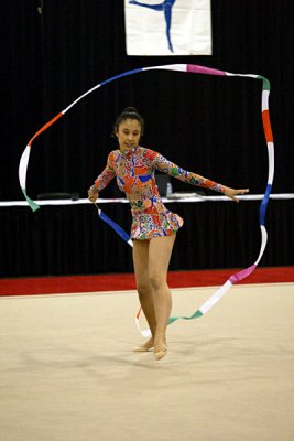 230742_gymnastics.jpg