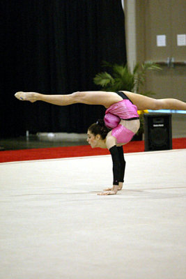220291_gymnastics.jpg