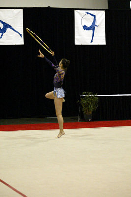 220454_gymnastics.jpg