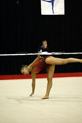 220592_gymnastics.jpg