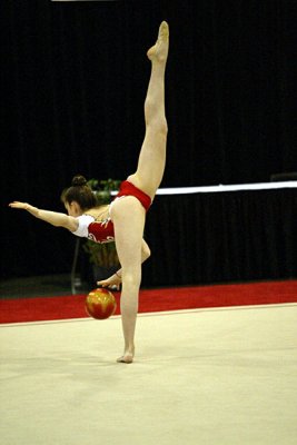 220673_gymnastics.jpg