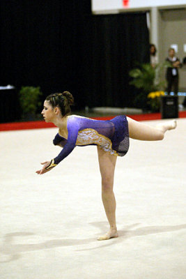 210365_gymnastics.jpg