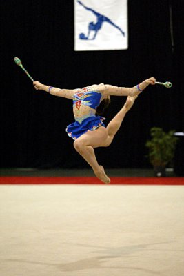 200536_gymnastics.jpg