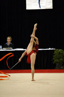 200582_gymnastics.jpg