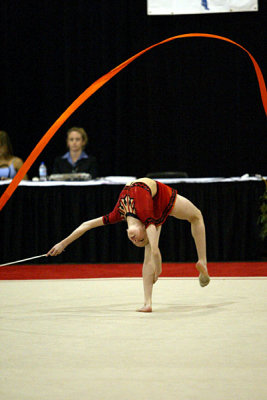 200583_gymnastics.jpg