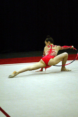 200696_gymnastics.jpg