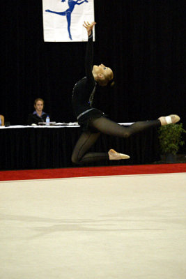 200781_gymnastics.jpg