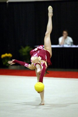 200804_gymnastics.jpg