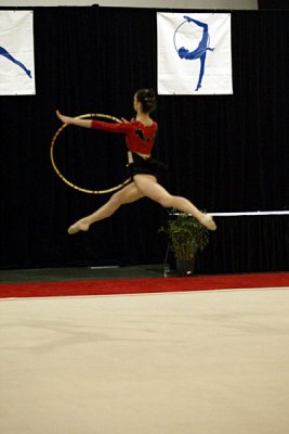 200880_gymnastics.jpg