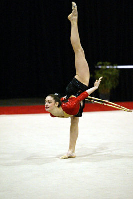 200886_gymnastics.jpg