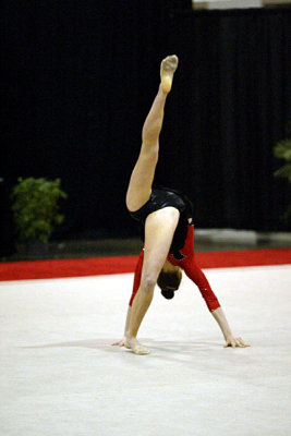 200899_gymnastics.jpg