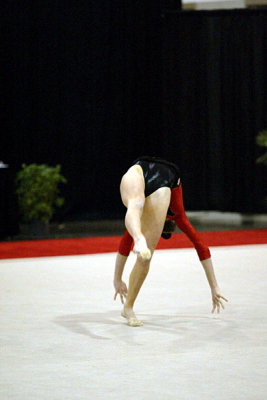 200900_gymnastics.jpg