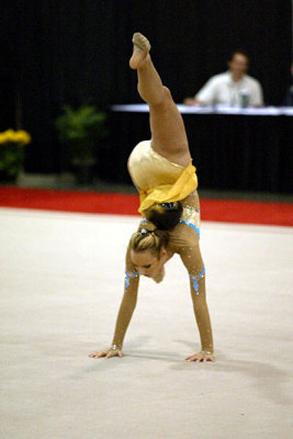 201034_gymnastics.jpg