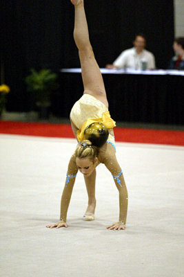 201035_gymnastics.jpg