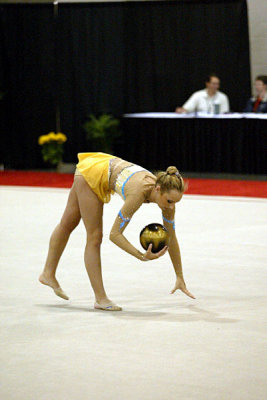 201043_gymnastics.jpg